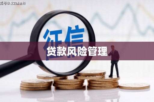 宣化贷款风险管理