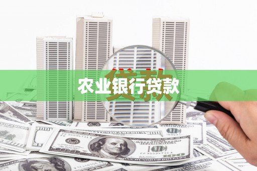 宣化农业银行贷款