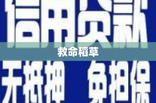宣化救命稻草