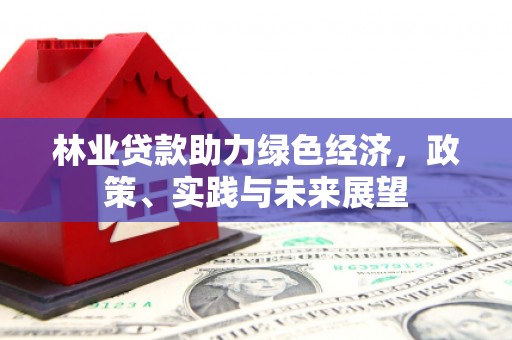 宣化林业贷款助力绿色经济，政策、实践与未来展望