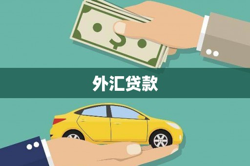 宣化外汇贷款