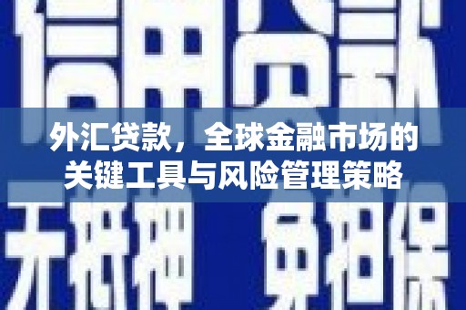 宣化外汇贷款，全球金融市场的关键工具与风险管理策略
