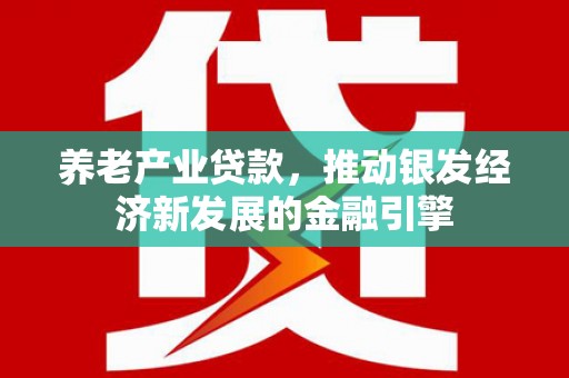宣化养老产业贷款，推动银发经济新发展的金融引擎