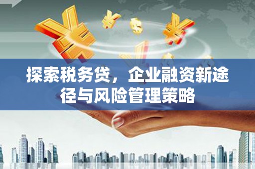 宣化探索税务贷，企业融资新途径与风险管理策略