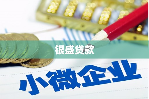 宣化银盛贷款