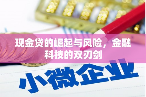 宣化现金贷的崛起与风险，金融科技的双刃剑