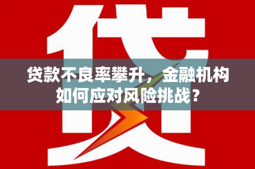 宣化贷款不良率攀升，金融机构如何应对风险挑战？