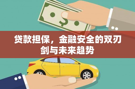 宣化贷款担保，金融安全的双刃剑与未来趋势