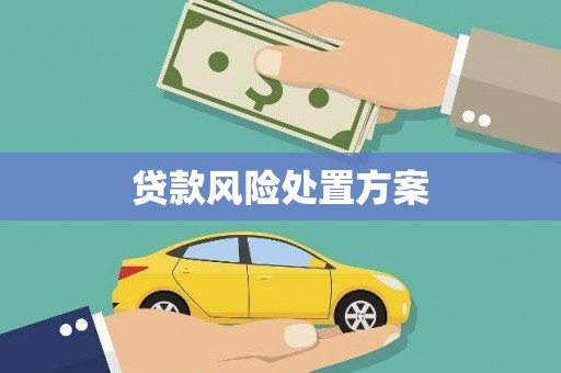 宣化贷款风险处置方案