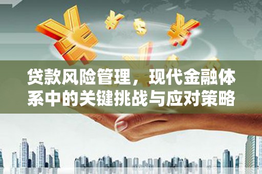 宣化贷款风险管理，现代金融体系中的关键挑战与应对策略
