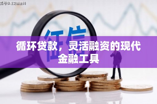 宣化循环贷款，灵活融资的现代金融工具
