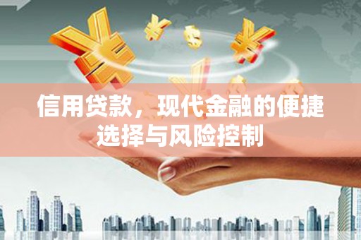 宣化信用贷款，现代金融的便捷选择与风险控制