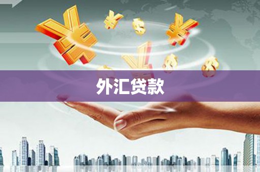 宣化外汇贷款