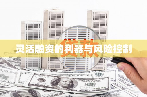 宣化灵活融资的利器与风险控制