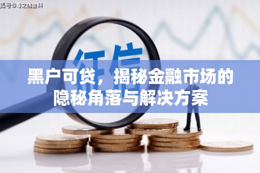 宣化黑户可贷，揭秘金融市场的隐秘角落与解决方案