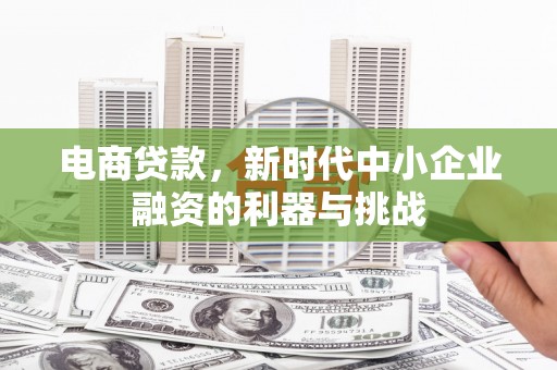 宣化电商贷款，新时代中小企业融资的利器与挑战