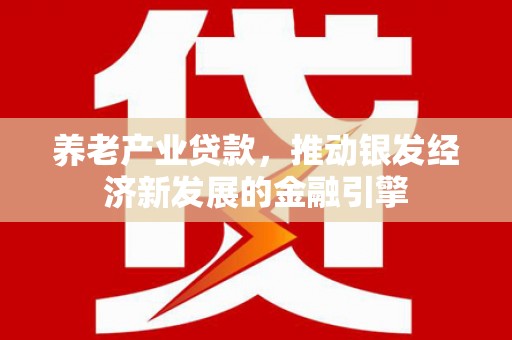 宣化养老产业贷款，推动银发经济新发展的金融引擎