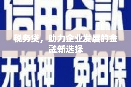 宣化税务贷，助力企业发展的金融新选择