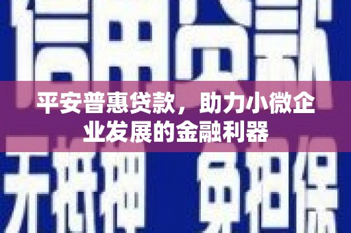 宣化平安普惠贷款，助力小微企业发展的金融利器