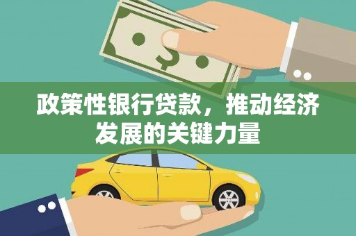 宣化政策性银行贷款，推动经济发展的关键力量