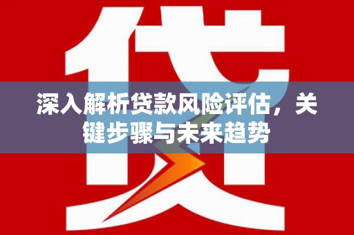 宣化深入解析贷款风险评估，关键步骤与未来趋势