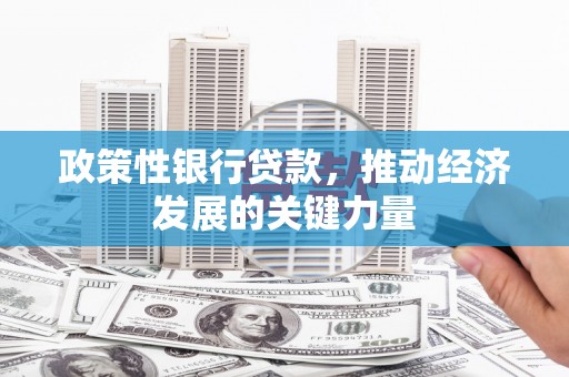 宣化政策性银行贷款，推动经济发展的关键力量