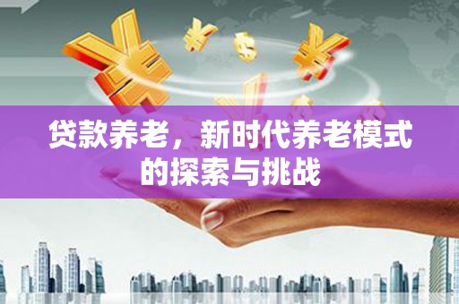 宣化贷款养老，新时代养老模式的探索与挑战