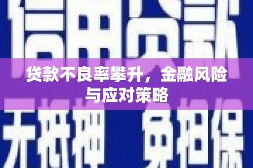 宣化贷款不良率攀升，金融风险与应对策略