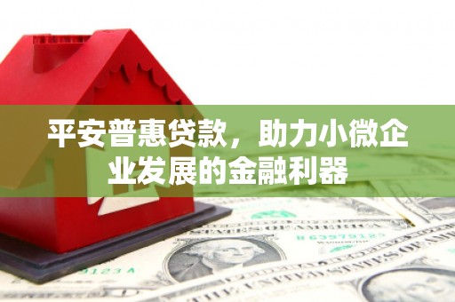 宣化平安普惠贷款，助力小微企业发展的金融利器