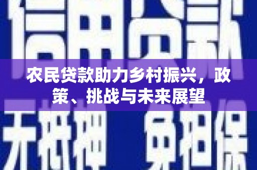 宣化农民贷款助力乡村振兴，政策、挑战与未来展望