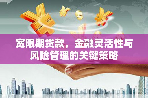 宣化宽限期贷款，金融灵活性与风险管理的关键策略