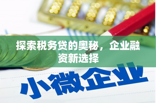 宣化探索税务贷的奥秘，企业融资新选择