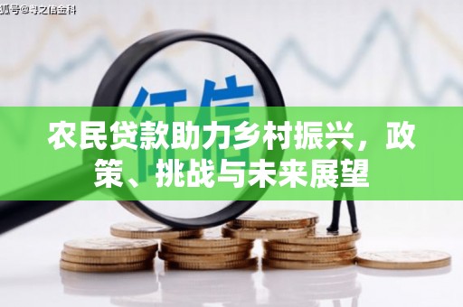 宣化农民贷款助力乡村振兴，政策、挑战与未来展望