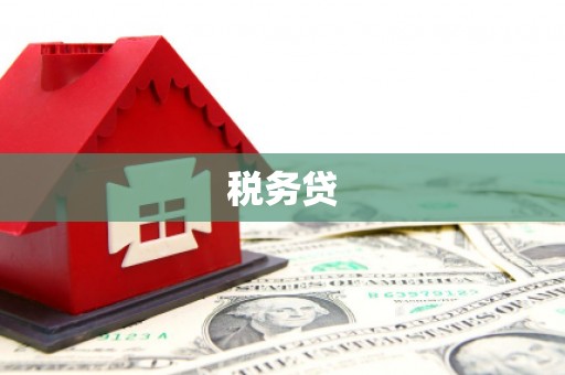 宣化税务贷