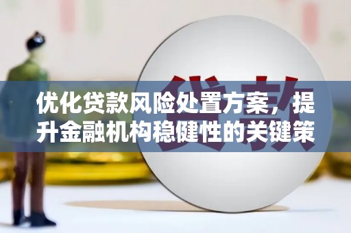 宣化优化贷款风险处置方案，提升金融机构稳健性的关键策略