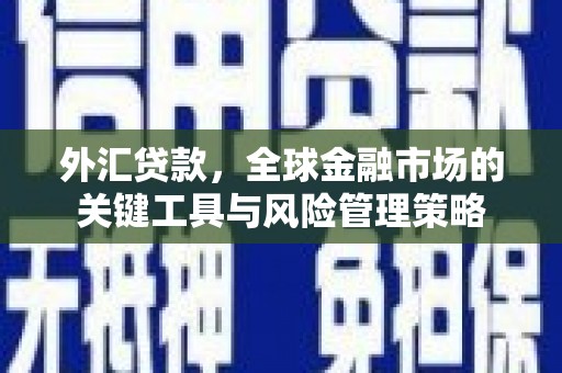 宣化外汇贷款，全球金融市场的关键工具与风险管理策略