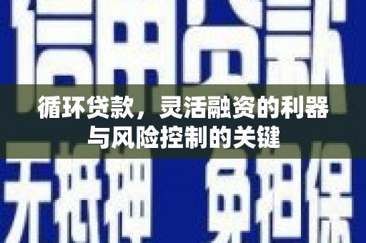 宣化循环贷款，灵活融资的利器与风险控制的关键