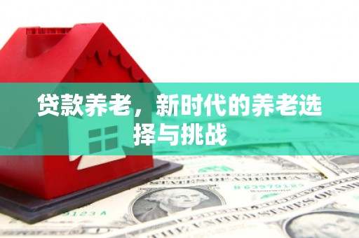 宣化贷款养老，新时代的养老选择与挑战