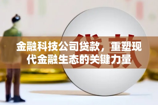 宣化金融科技公司贷款，重塑现代金融生态的关键力量