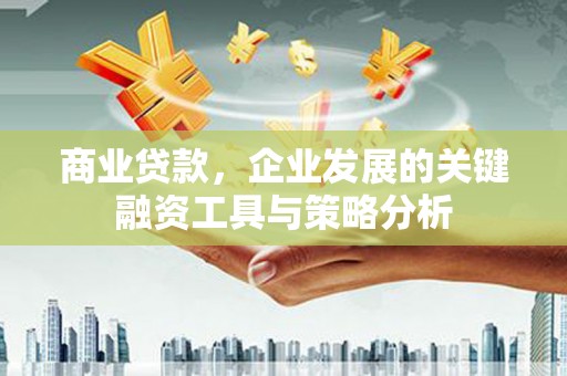 宣化商业贷款，企业发展的关键融资工具与策略分析