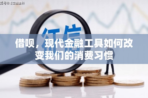 宣化借呗，现代金融工具如何改变我们的消费习惯