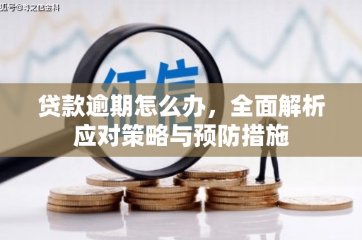 宣化贷款逾期怎么办，全面解析应对策略与预防措施