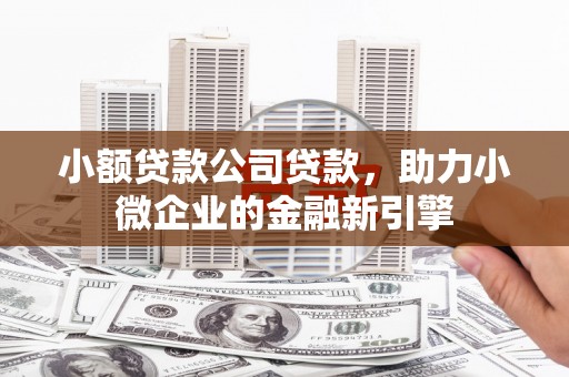 宣化小额贷款公司贷款，助力小微企业的金融新引擎