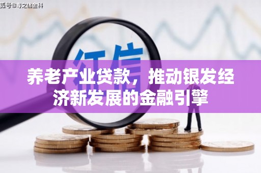 宣化养老产业贷款，推动银发经济新发展的金融引擎