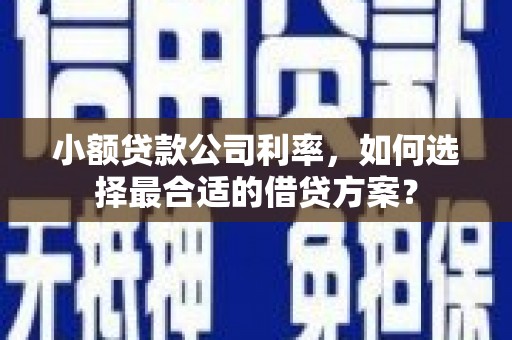 宣化小额贷款公司利率，如何选择最合适的借贷方案？