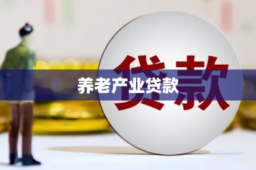 宣化养老产业贷款