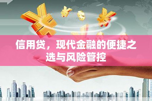 宣化信用贷，现代金融的便捷之选与风险管控