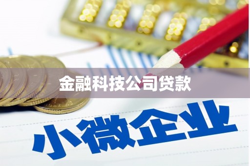 宣化金融科技公司贷款