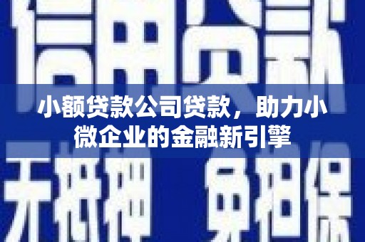 宣化小额贷款公司贷款，助力小微企业的金融新引擎