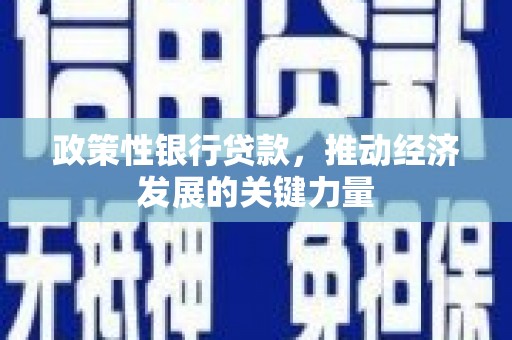 宣化政策性银行贷款，推动经济发展的关键力量